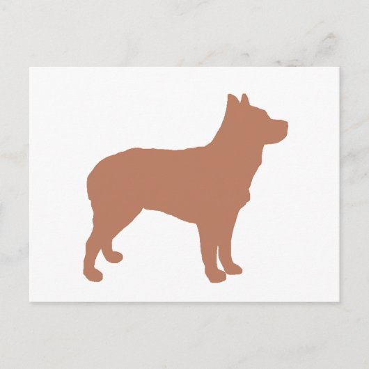 australischer Stumpy Schwanz Rind Hund Silo red.pn Postkarte (Vorderseite)