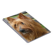 australischer Terrier auf bench.png Notizblock (Rechte Seite)