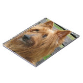 australischer Terrier auf bench.png Notizblock (Linke Seite)