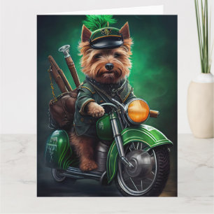 Australischer Terrier fährt Fahrrad am St. Patrick Karte