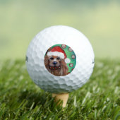 AUSTRALISCHER TERRIER GOLFBALL (Insitu T-Shirt)