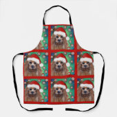 AUSTRALISCHER TERRIER SCHÜRZE (Vorderseite)