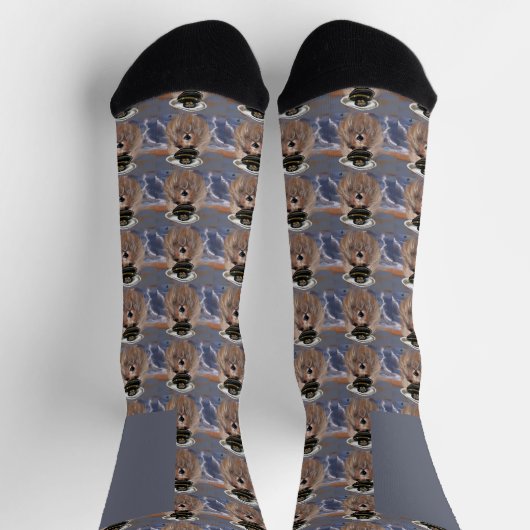 AUSTRALISCHER TERRIER SOCKEN (Oben)