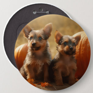 Australischer Terrier Welpe Herbstfreude Kürbis Button