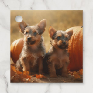 Australischer Terrier Welpe Herbstvergnügen Kürbis Geschenkanhänger