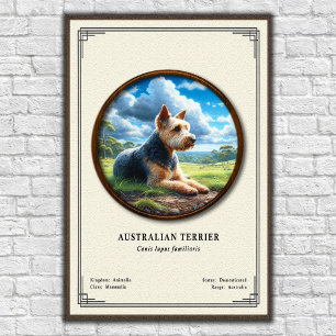 Australischer Terrier Zoologie-Serie Poster
