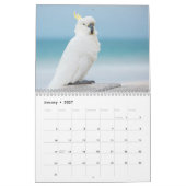 Australischer Tier-Kalender "wilden Australiens" Kalender (Jan 2027)