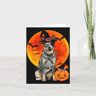 Australischer Tüderhund Halloween-Kürbis Karte