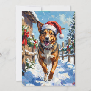 Australischer Tüderhund Red Heeler Weihnachten