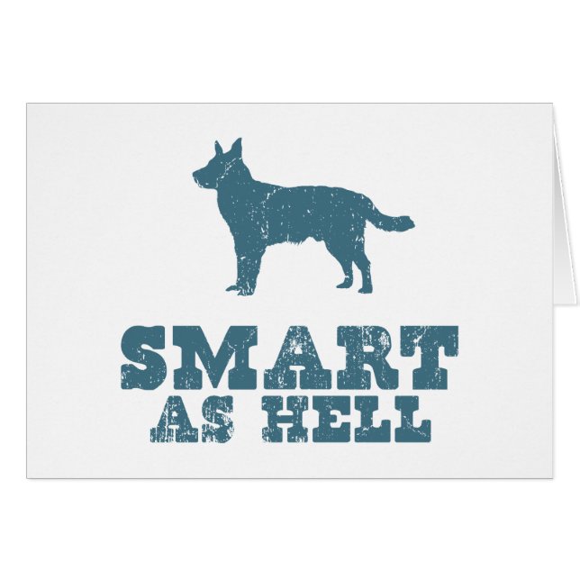 Australischer Vieh-Hund (Vorderseite (Horizontal))