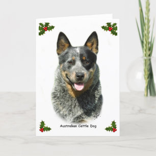 Australischer Vieh-Hund 9F061D-03 Feiertagskarte