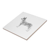 Australischer Vieh-Hund Fliese (Seite)