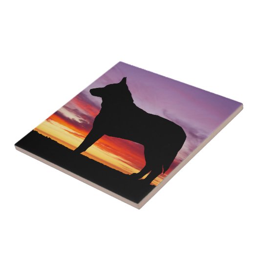 Australischer Vieh-Hund Fliese (Seite)