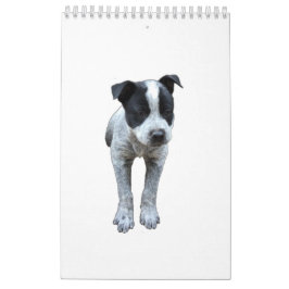 Australischer Vieh-Hundekalender Kalender