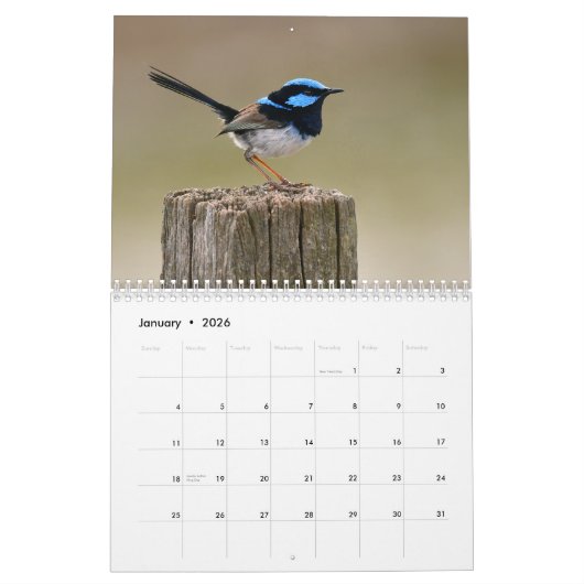 Australischer Vogel-Kalender Kalender (Jan 2026)