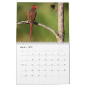 Australischer Vogel-Kalender Kalender (Mär 2027)