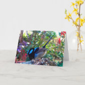 Australischer Vogel, Superb Fairy Wren. Karte (Gelbe Blume)