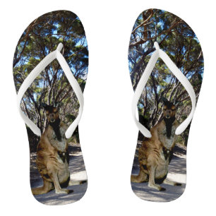 Australischer Wallaby auf der Straße, Flip Flops Badesandalen