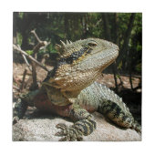 Australischer Wasser-Drache Fliese (Vorderseite)