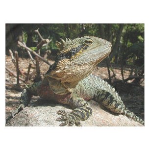 Australischer Wasser-Drache Tischdecke
