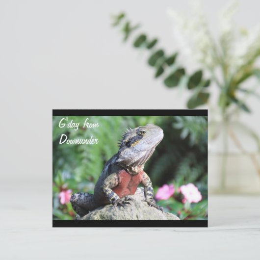 Australischer Wasserdrache Postkarte (Stehend Vorderseite)