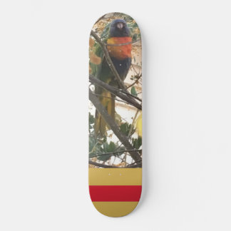 Australischer Wattle Rainbow Lorikeet Cockatoo Bir Skateboard