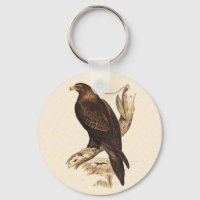 Australischer Wedge Tails Adler. Riesiger Vogel de