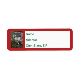 Australischer Weihnachtskoala mit Candy Cane Label