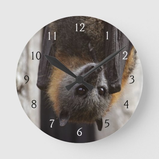 Australisches Bat Runde Wanduhr (Vorderseite)