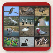 Australisches Birdwatchers Collage Getränkeuntersetzer (Vorderseite)