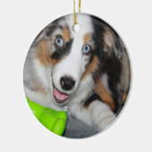 australisches blaues merle puppy.png keramikornament (Links)