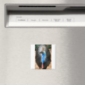 Australisches Cassowary Magnet (In Situ (Geschirrspüler))
