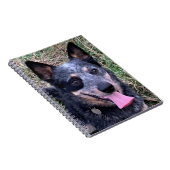 Australisches Cattle Dog-Notebook Notizblock (Rechte Seite)