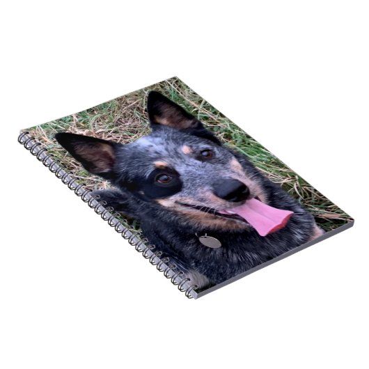 Australisches Cattle Dog-Notebook Notizblock (Rechte Seite)