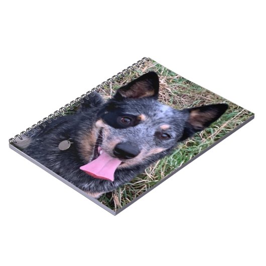 Australisches Cattle Dog-Notebook Notizblock (Linke Seite)