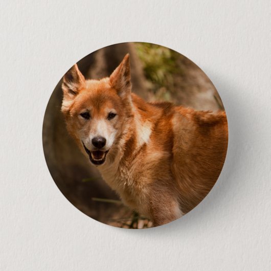 Australisches Dingo-Abzeichen Button (Vorderseite)