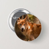 Australisches Dingo-Abzeichen Button (Vorne & Hinten)