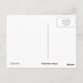 Australisches dingo Postkarte (Rückseite)