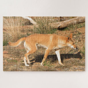 Australisches Dingo Puzzle