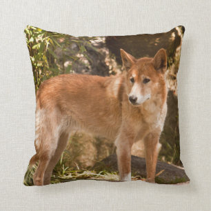 Australisches Dingo-Wurfskissen Kissen