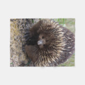 Australisches Echidna-Süße Tier-Foto Fleecedecke (Vorderseite (Horizontal))