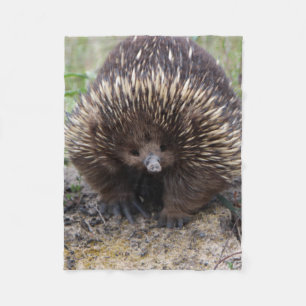 Australisches Echidna-Süße Tier-Foto Fleecedecke