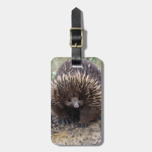 Australisches Echidna-Süße Tier-Foto Gepäckanhänger (Vorderseite vertikal)
