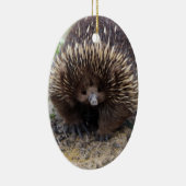 Australisches Echidna-Süße Tier-Foto Keramik Ornament (Rechts)