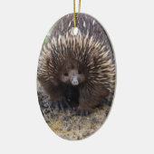 Australisches Echidna-Süße Tier-Foto Keramik Ornament (Links)