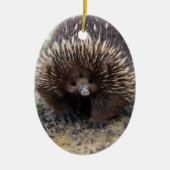 Australisches Echidna-Süße Tier-Foto Keramik Ornament (Vorne)