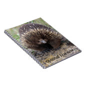 Australisches Echidna-Süße Tier-Foto Notizblock (Rechte Seite)
