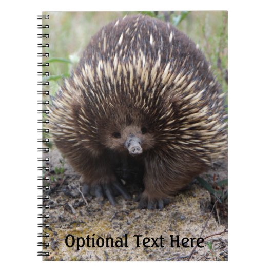 Australisches Echidna-Süße Tier-Foto Notizblock (Vorderseite)