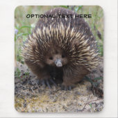 Australisches Echidna-Tier-Foto Mousepad (Vorne)