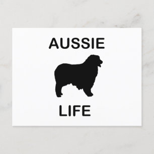 australisches Hirtenleben Postkarte